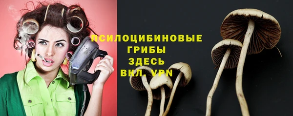 твердый Покачи