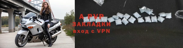 мяу мяу мука Ельня