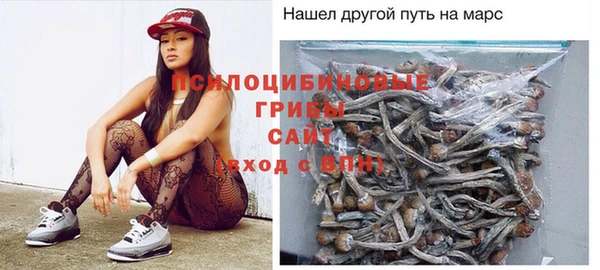 твердый Покачи