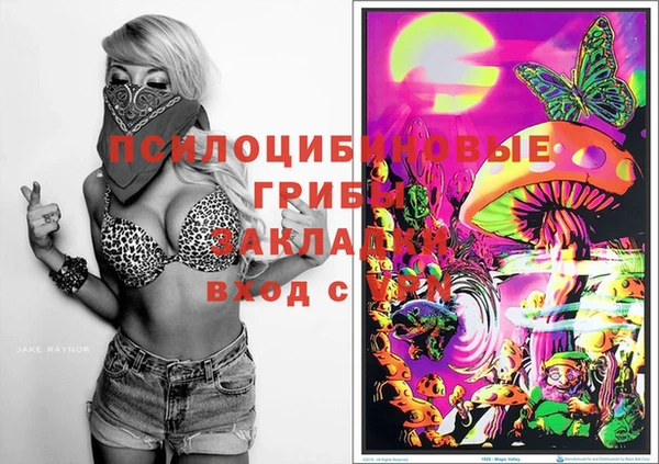 apvp Покров