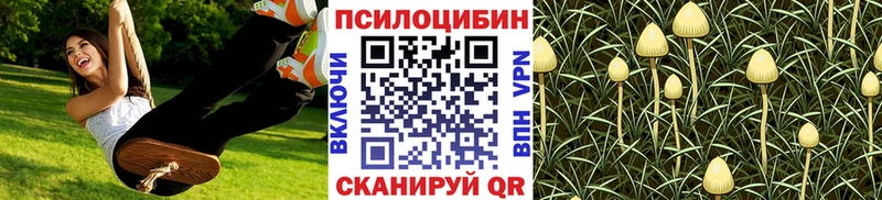 цена   Салехард  Псилоцибиновые грибы мицелий 
